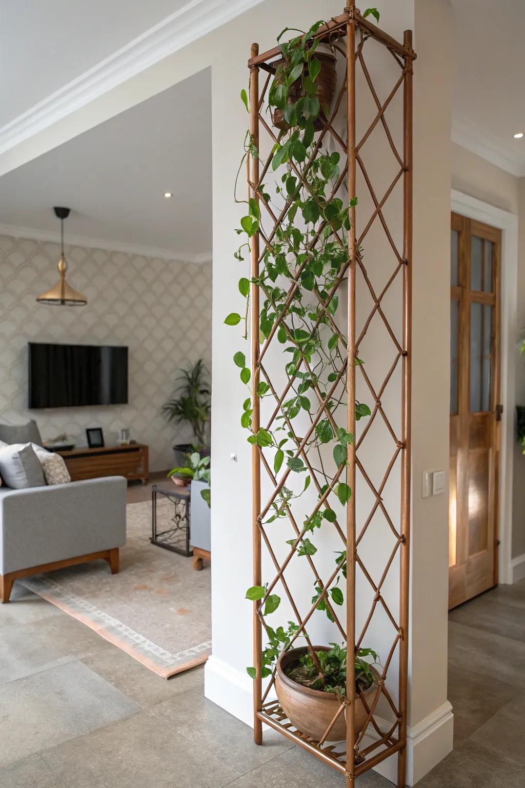 A sleek living space featuring a wax plant scaling a bronze support, contributing a touch of class.
