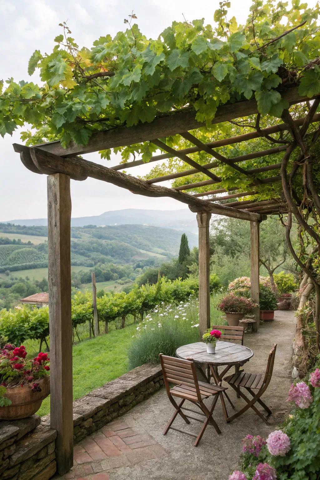 A wooden pergola, decorated with climbing vines, makes a shady spot for leisure.