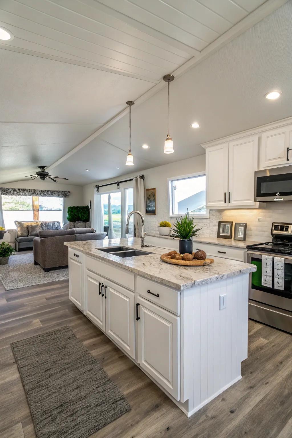 An open-concept kitchen has the potential to transform even the most compact areas into a culinary enthusiast's dream.
