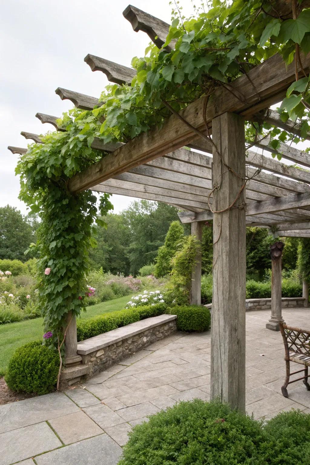 A pergola with climbing vines crafts a natural, shaded haven.