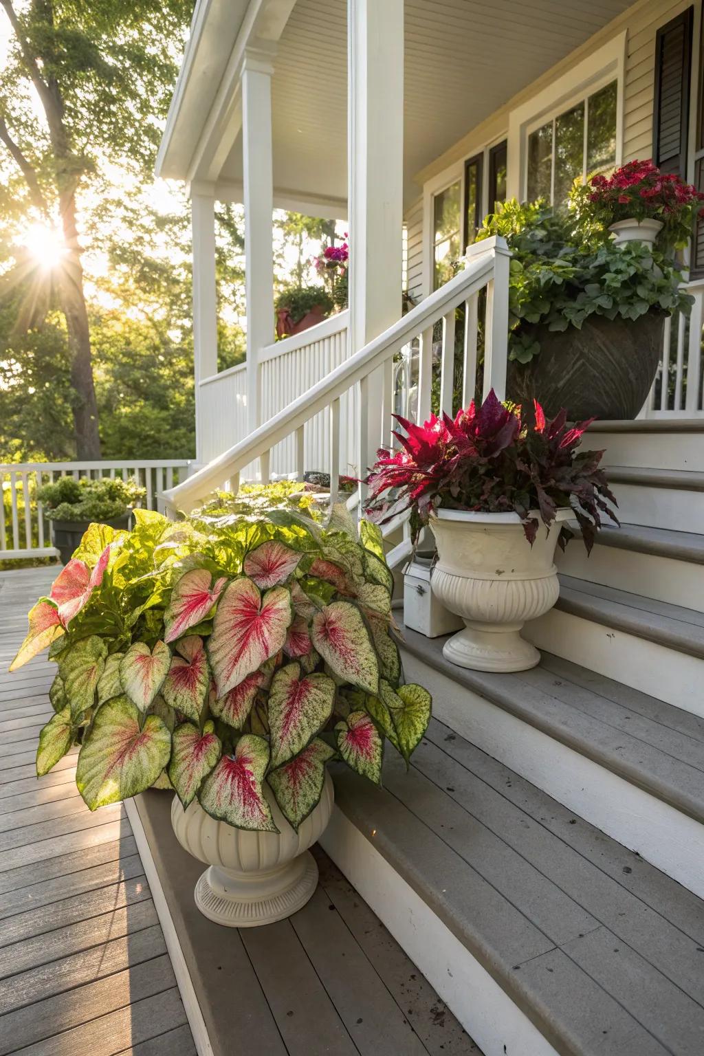 External planters render kaleidoscope plants a focal point in your setting.