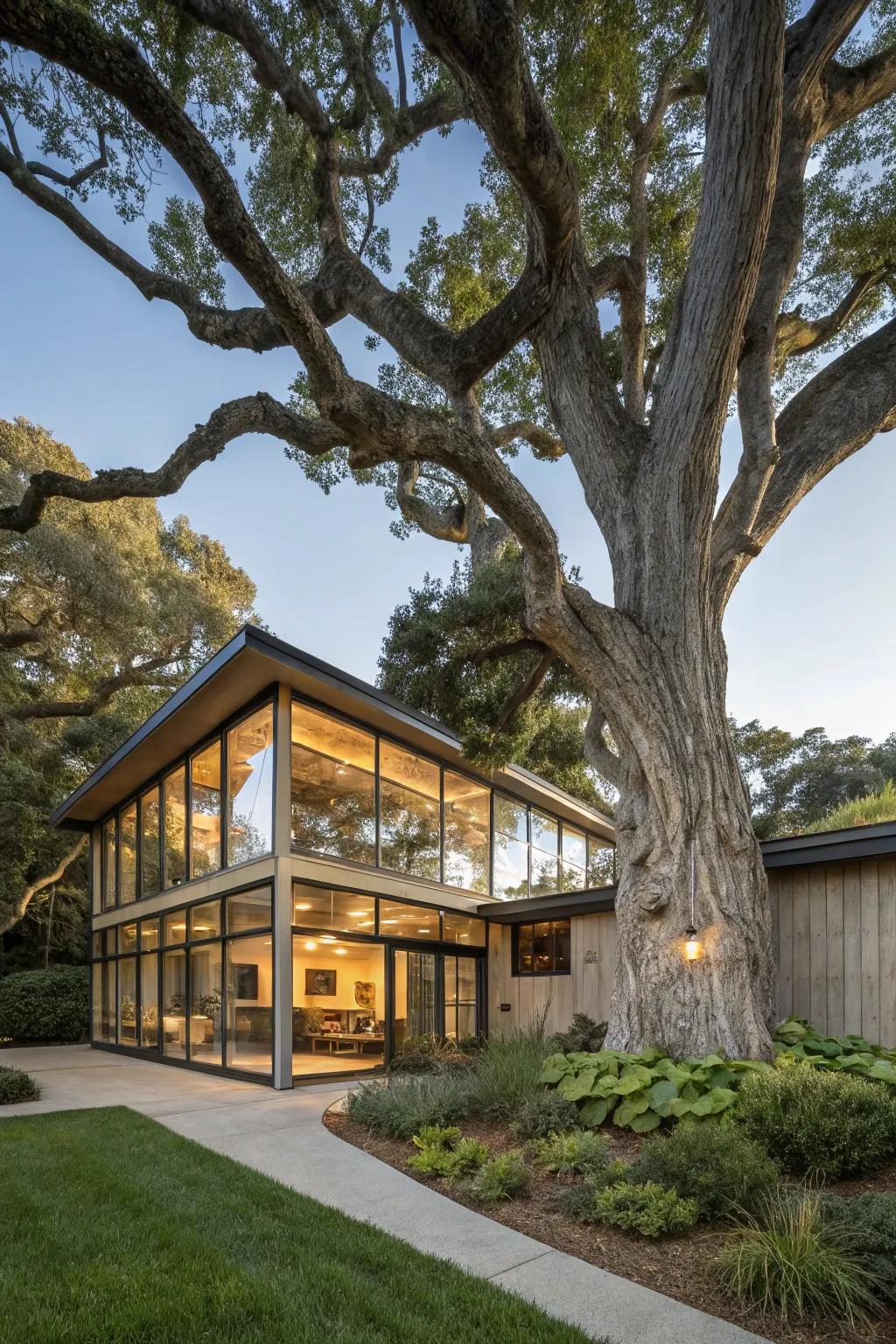 A home embracing native elements as vital components of its design.