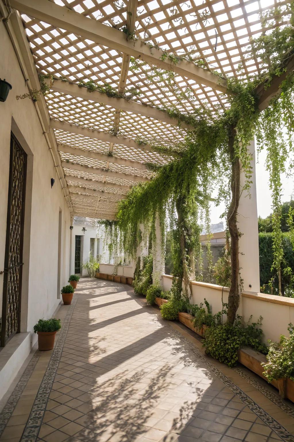 A fretwork canopy appends charm and an impression of nature to your patio.