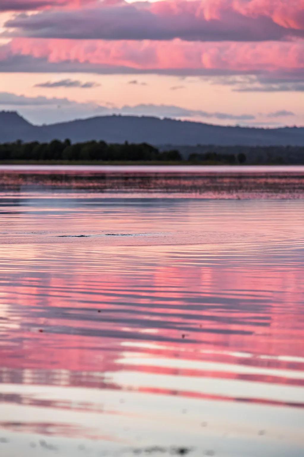 Tranquil artwork displaying rosy reflections over water.