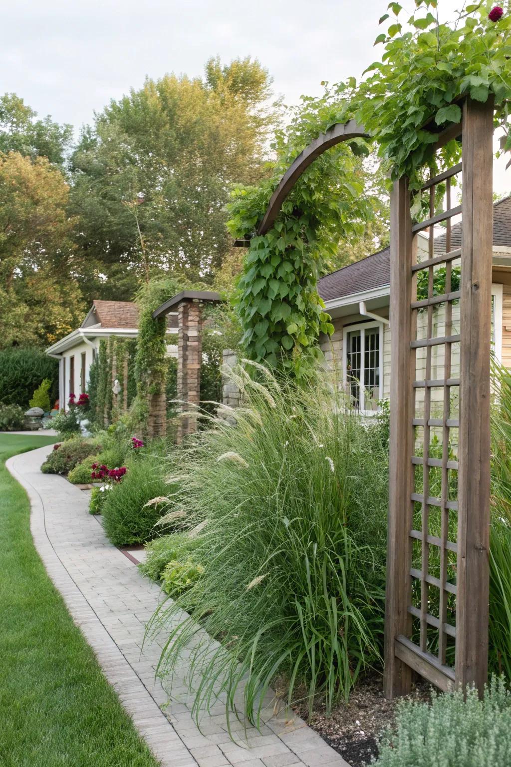 Vertical plant features draw the eye and add intrigue.