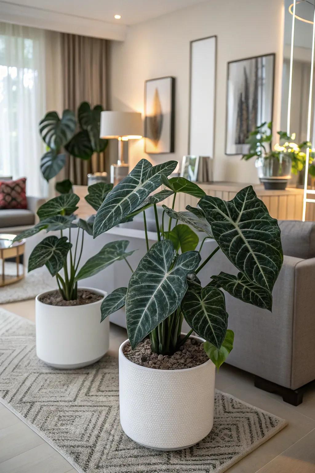 A uniformed visual featuring kaleidoscope plants cultivates a serene vibe.
