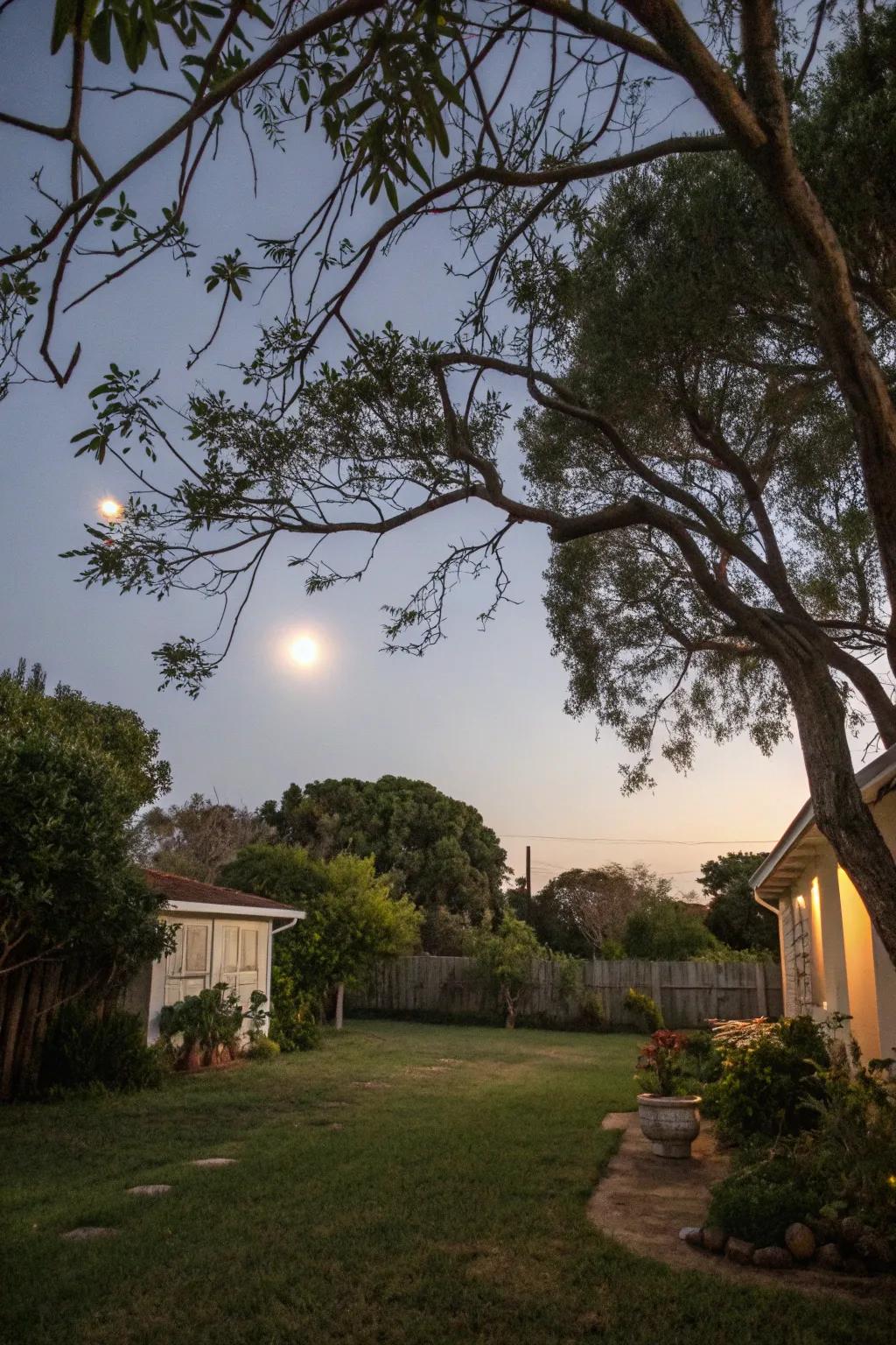 Moonlighting forges an ethereal glow across outdoor environments.