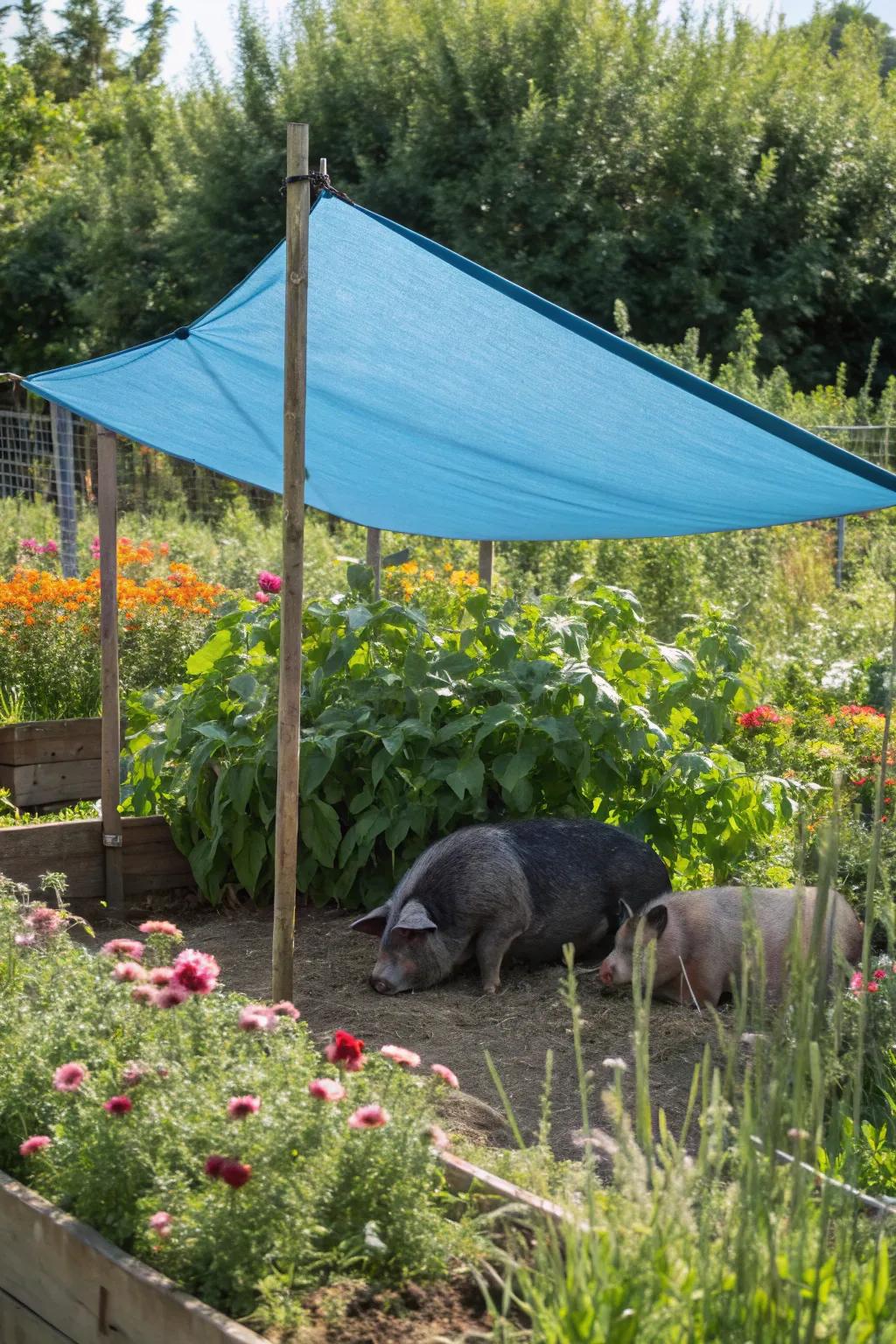 A cleverly shaded pen using versatile shade sails.