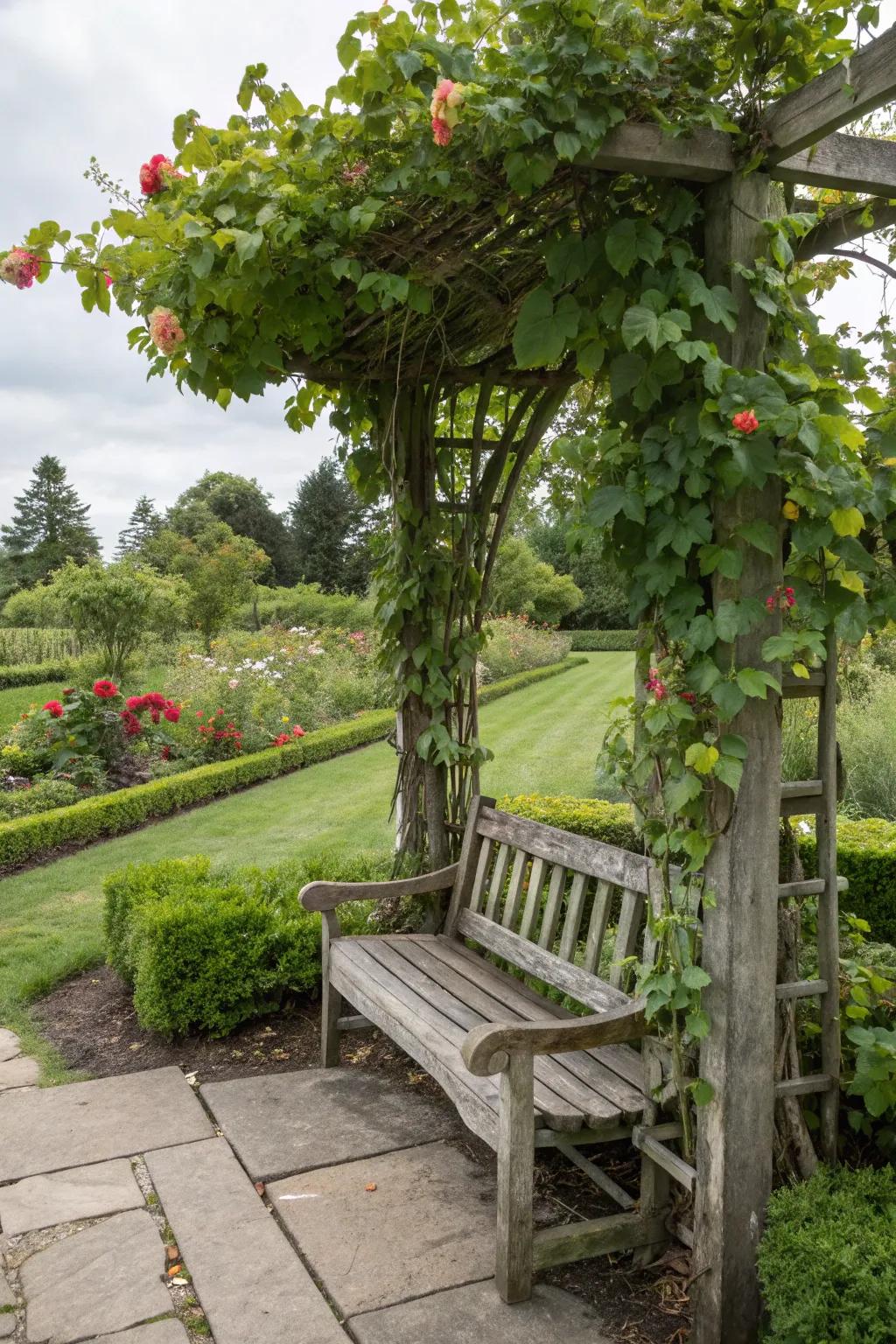 A garden seat with an arbor, inviting nature to wrap around.
