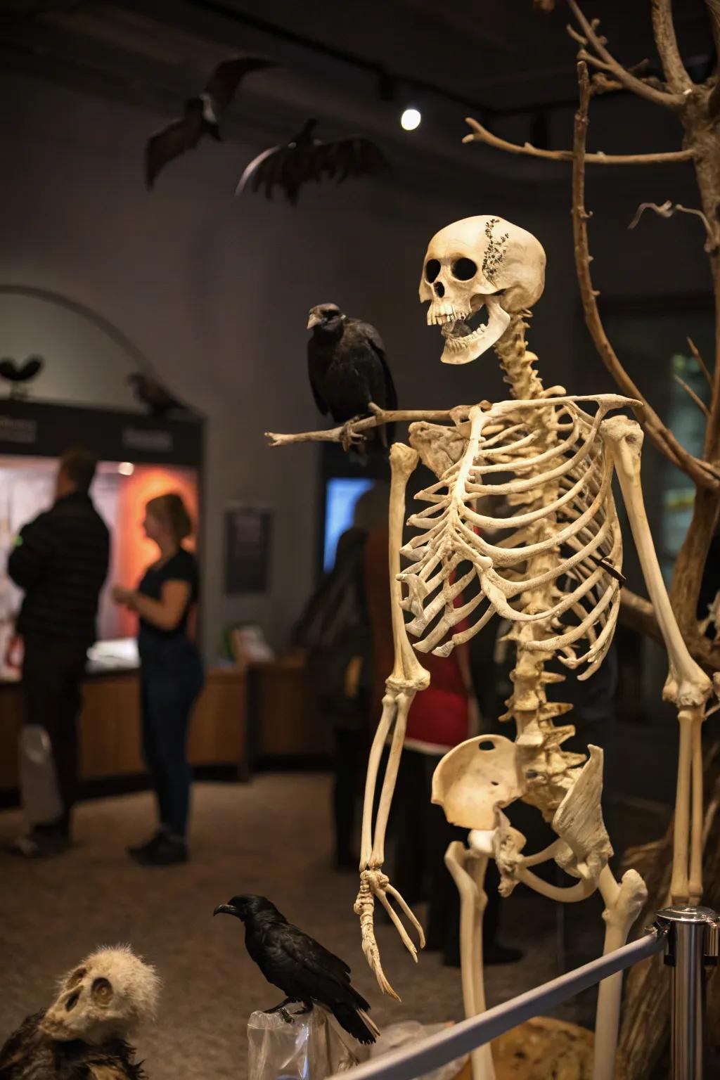 Creature companions add a playful element to the skeleton display.