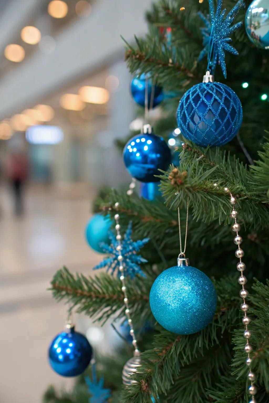 Tasteful azure coniferous adornments