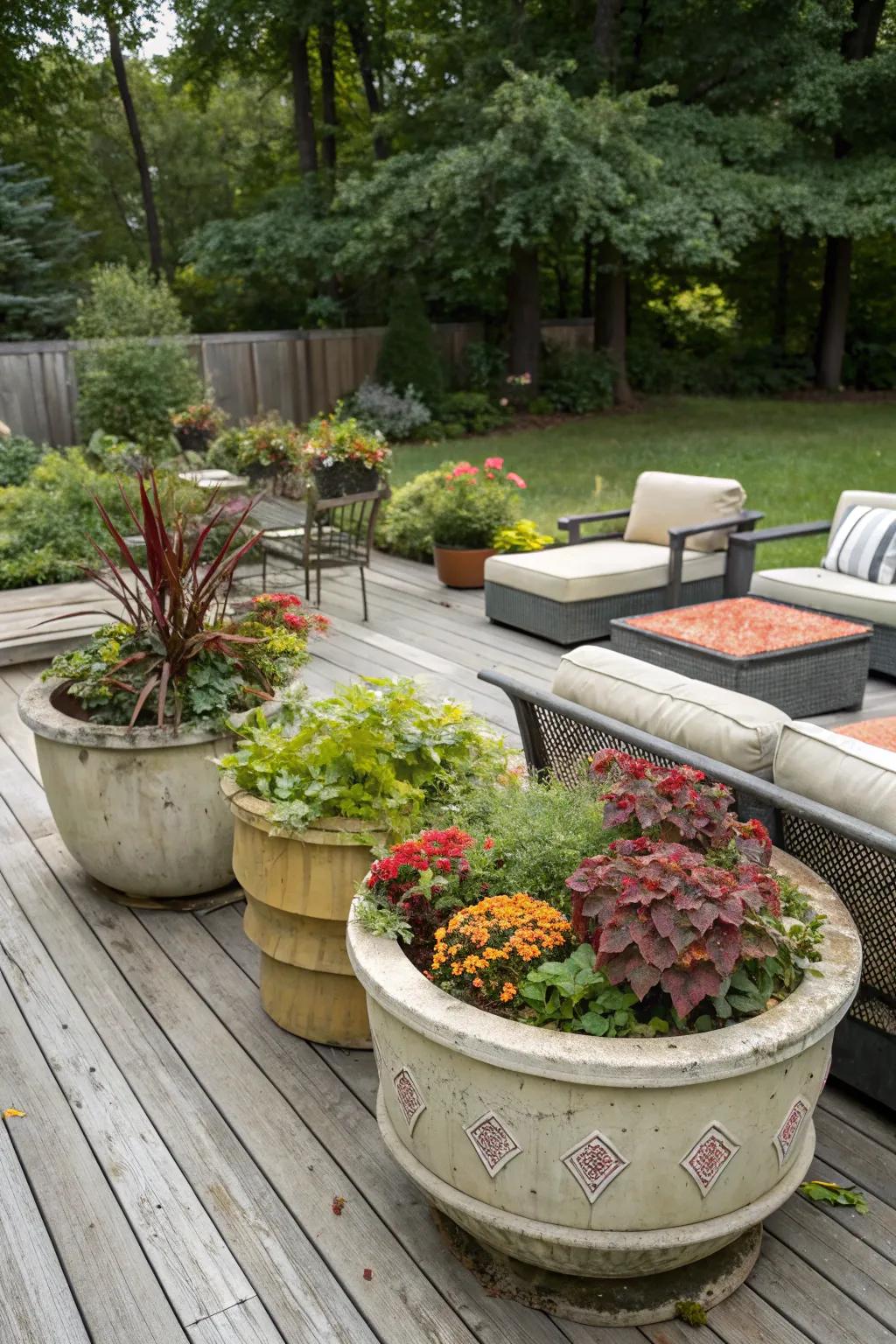 Aged pots contribute unparalleled charm and remembrance.