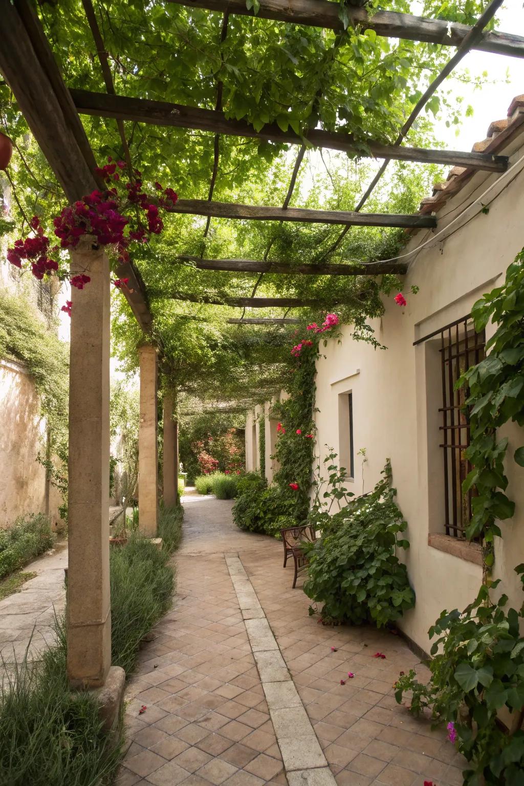 Ascending plants lend skyward verdure and texture.