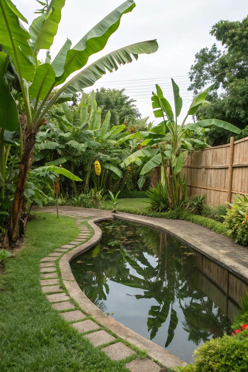 Enhance your water garden with banana trees for a lavish tropical feel.