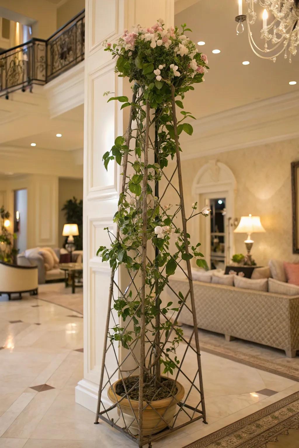 A luxurious home featuring a wax plant on a freestanding pyramid support.