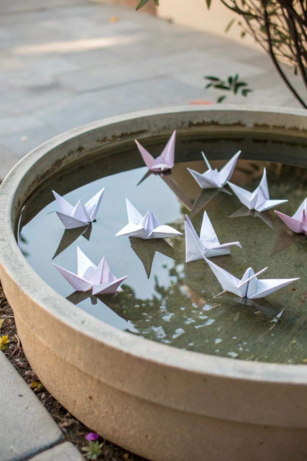 A peaceful reflection pond with floating birds.