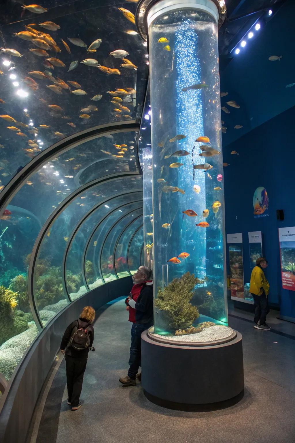 An interactive adventure conceived within a towering aquarium.