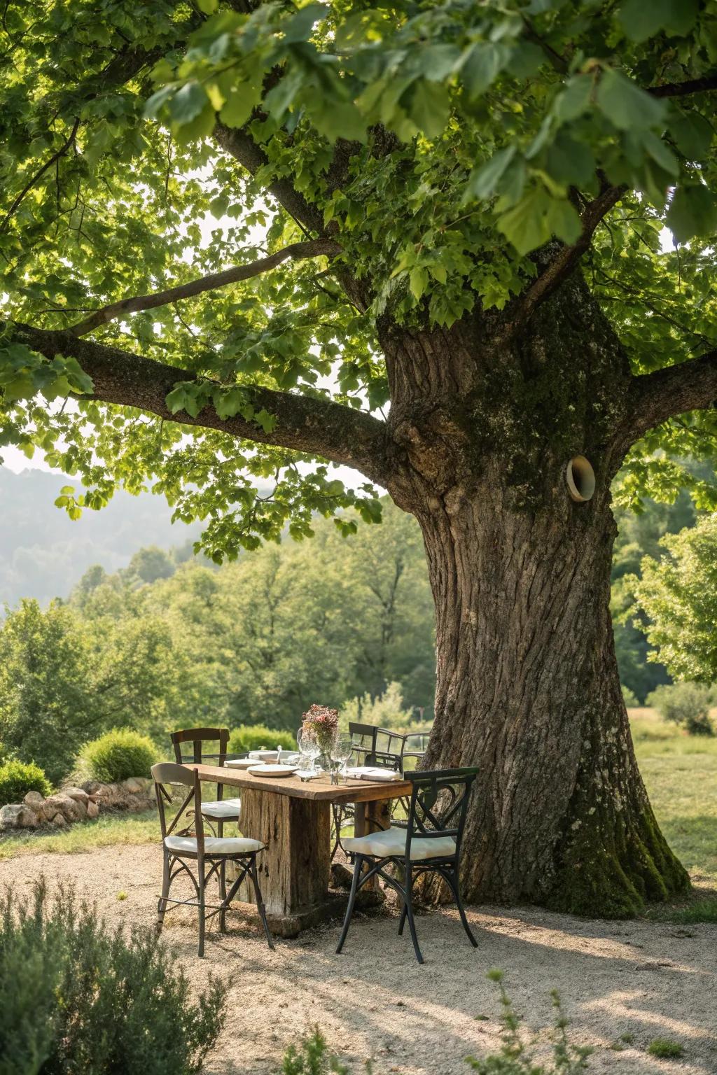 A tree-trunk table blends seamlessly with the open-air environment.
