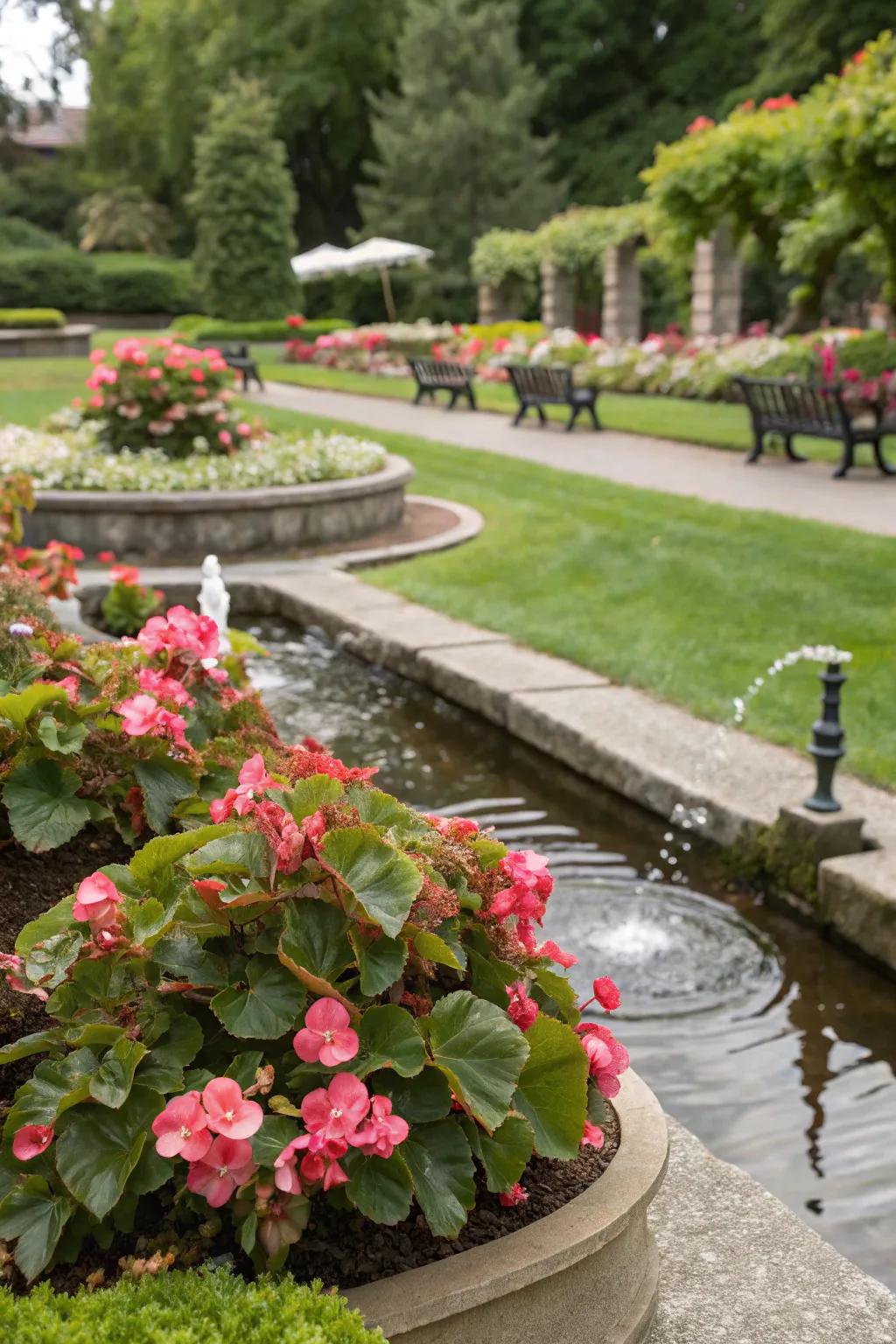 Blossomhearts add beauty and peace near water.
