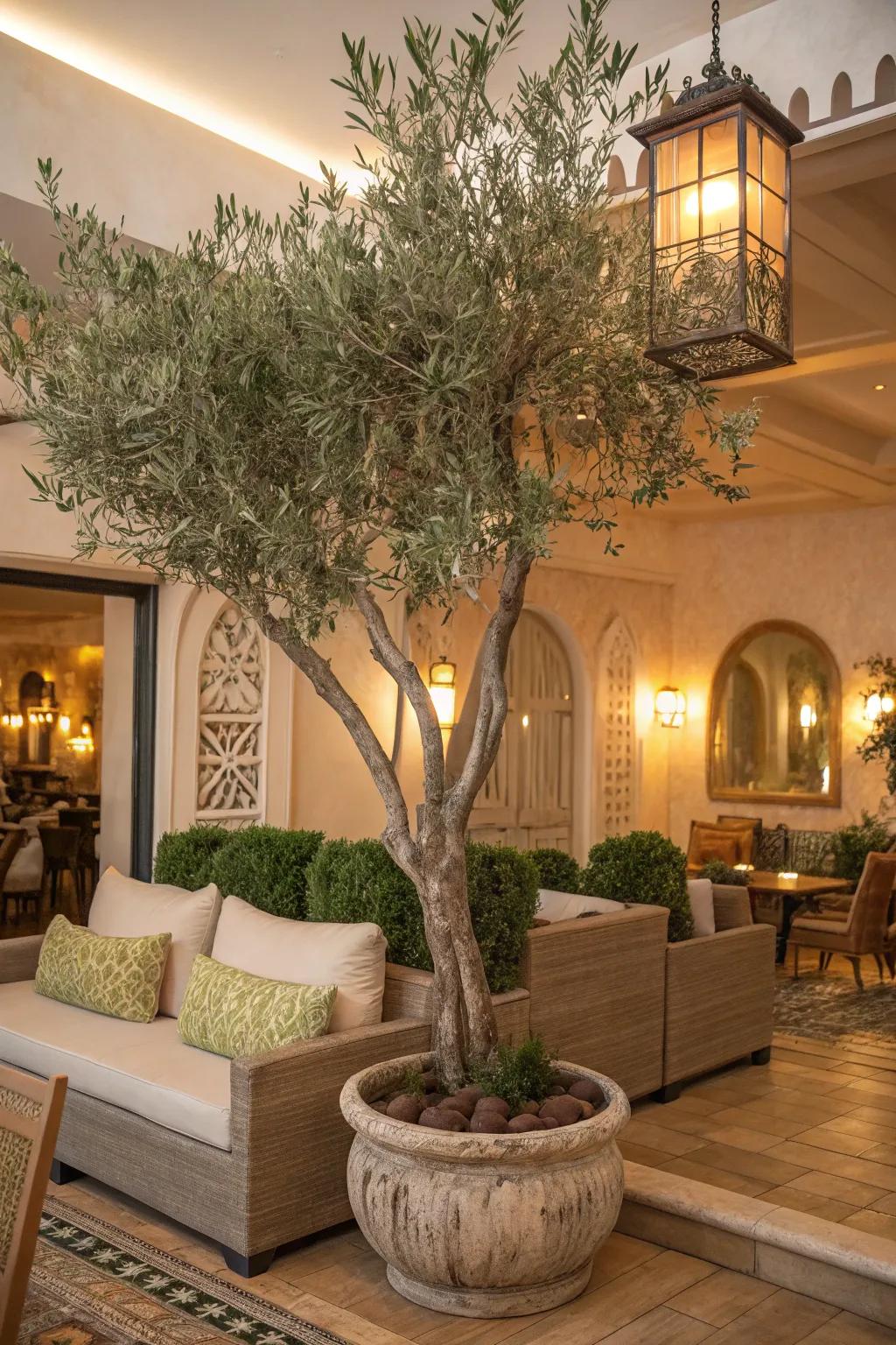 Design a Mediterranean lounge with a synthetic Italian plant.