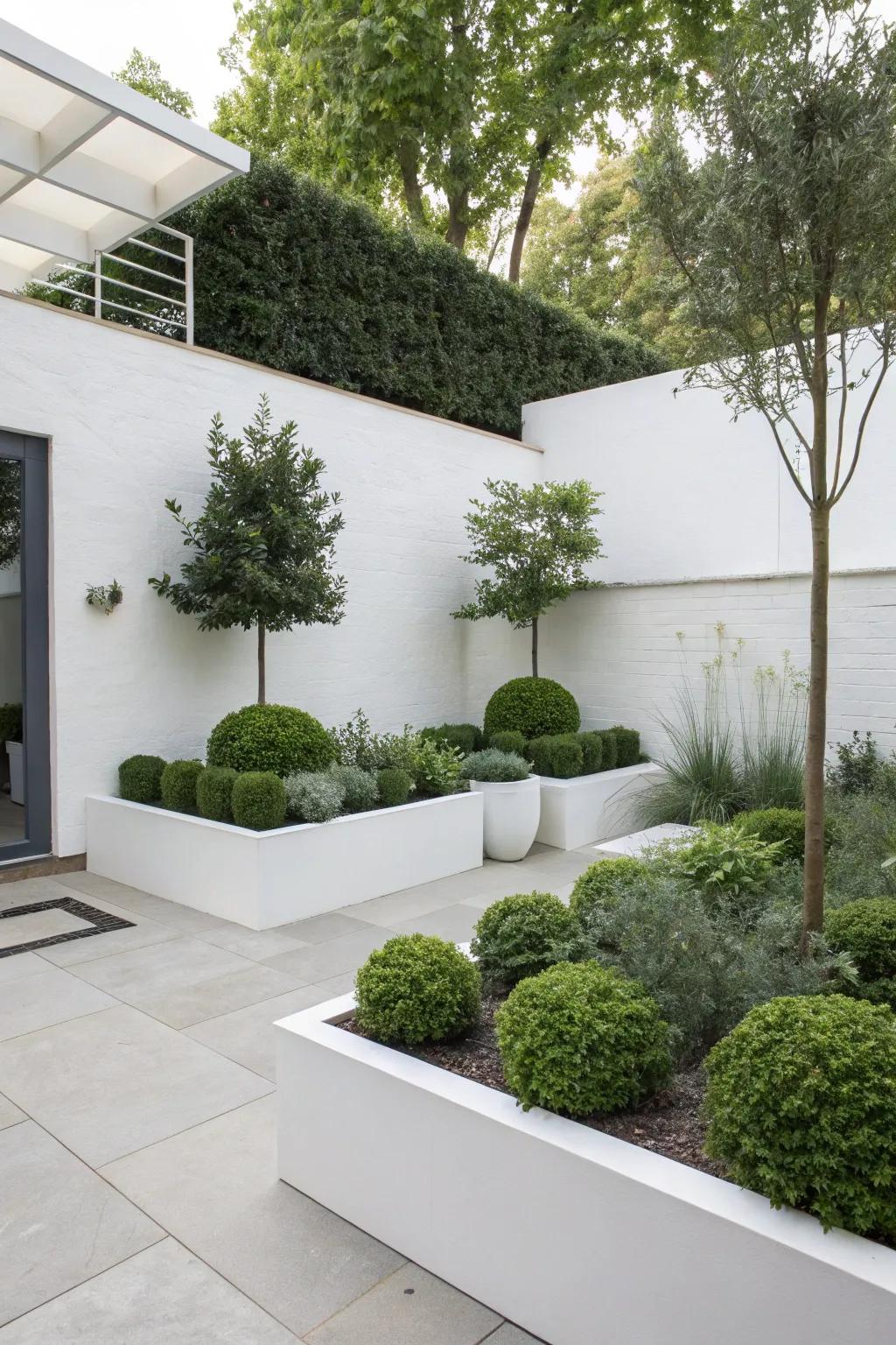 A minimalist garden corner introduces modern elegance and simplicity.