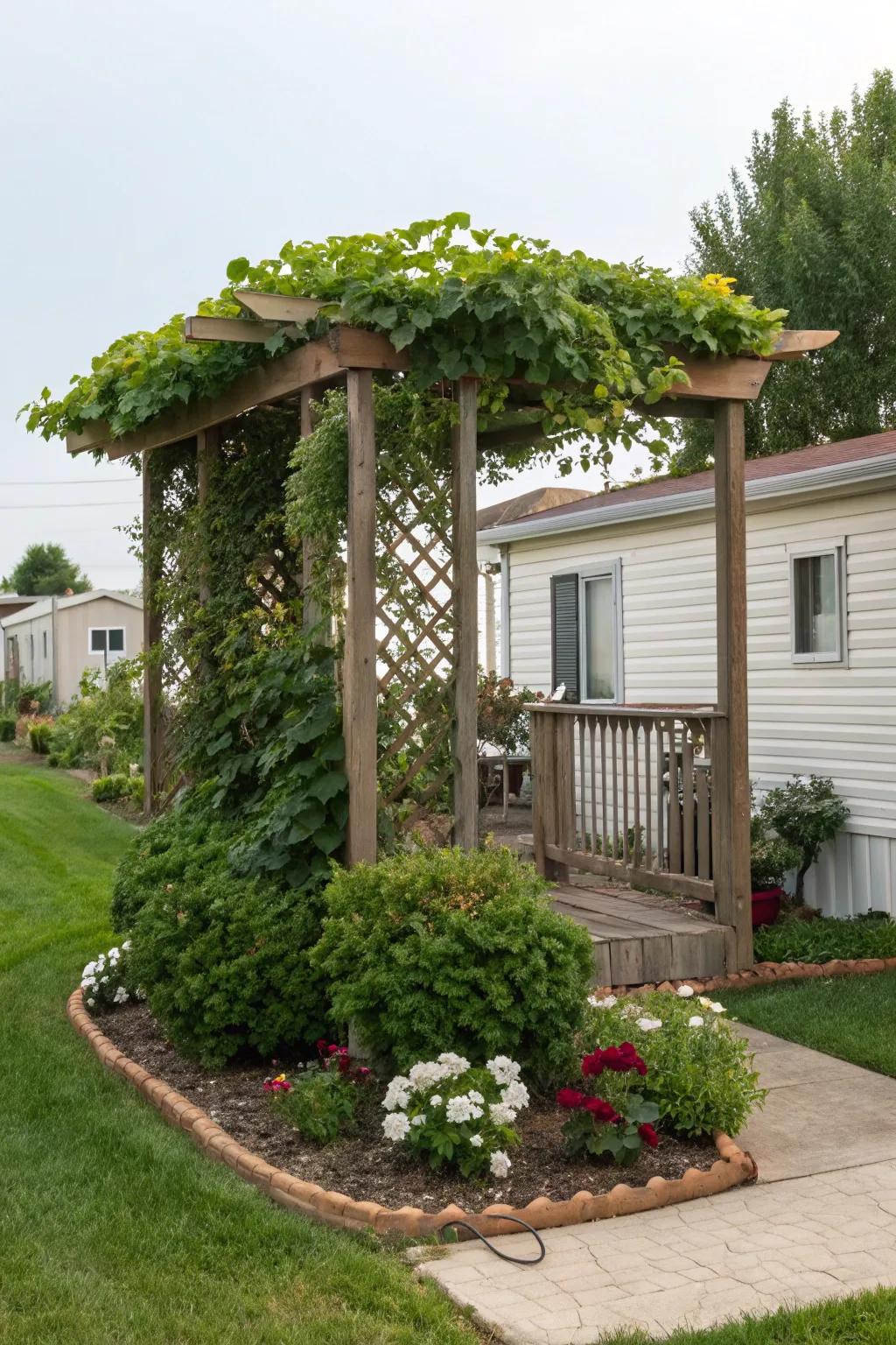 A vine-laden pergola crafting a shaded retreat in a manufactured home garden.