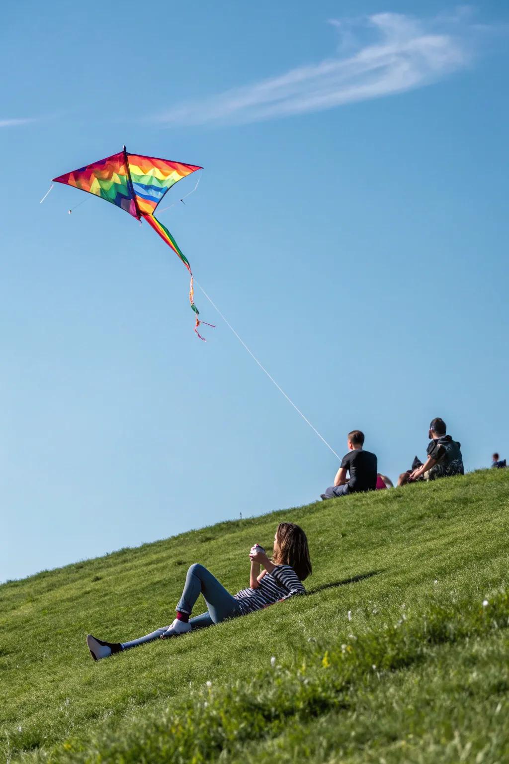 Piloting a kite furnishes a joyous and invigorating birthday activity.