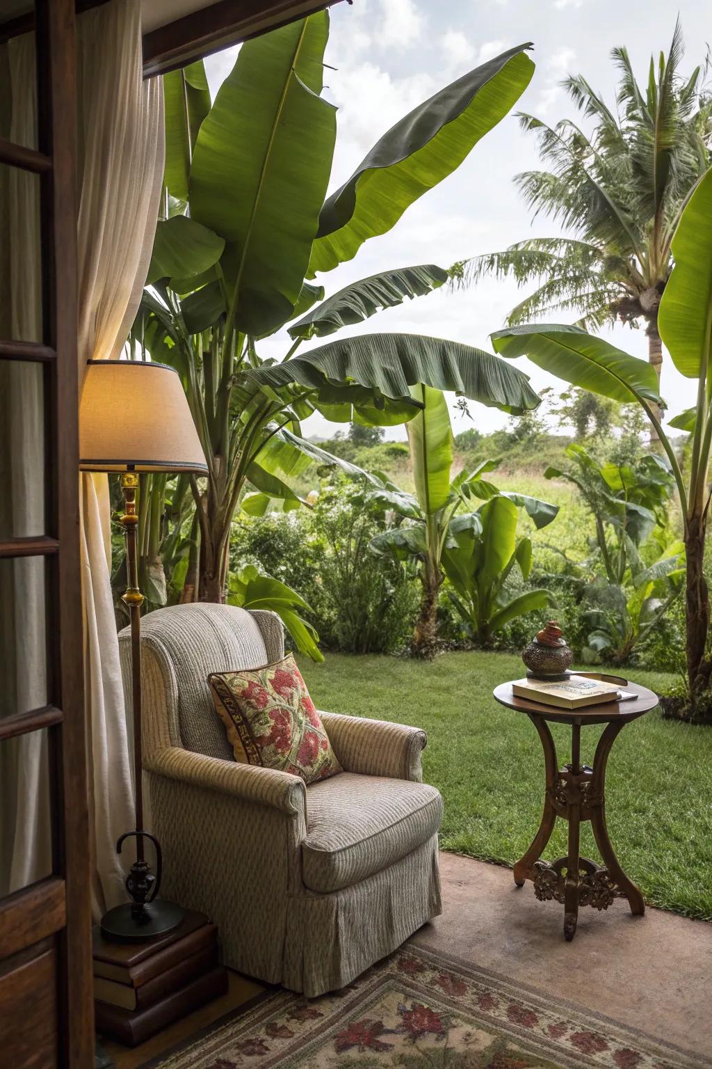 Escape into a good book in a lush reading spot surrounded by banana trees.