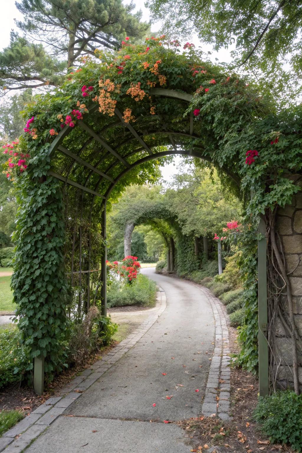 Climbing plants on arches fashion a romantic, grand entryway.