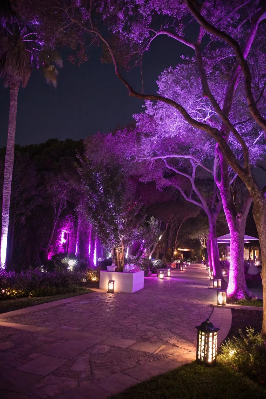 A captivating outdoor space illuminated with violet-themed lighting.