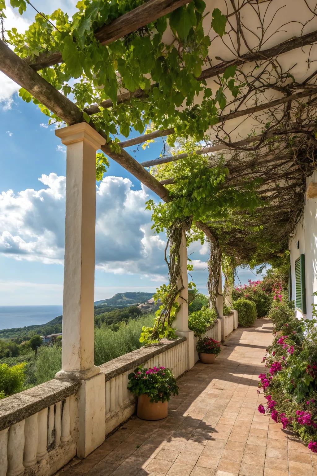 Trellised vines proffer natural shade and spirited allure.