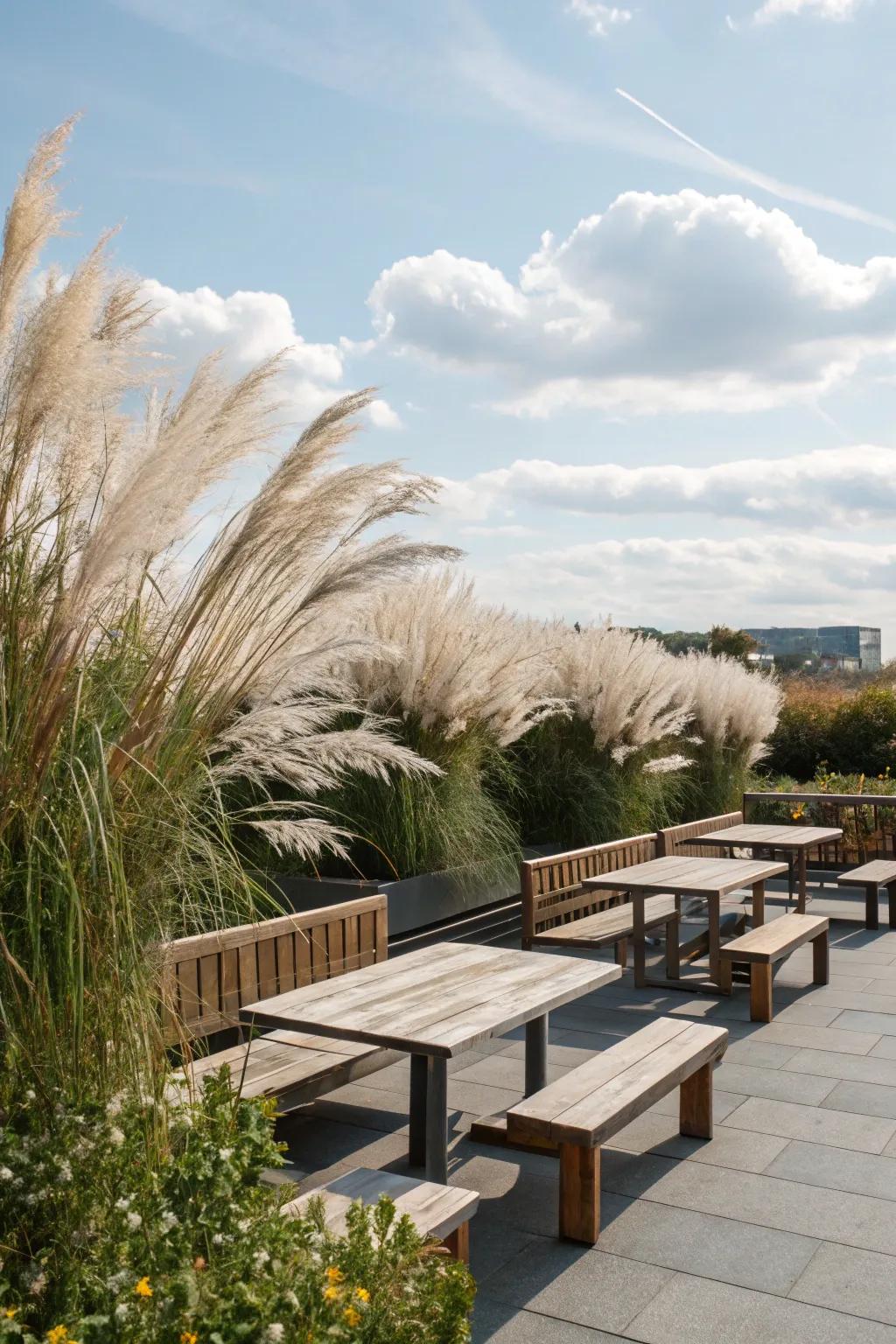 A breezy background of grasses upgrades open air seating regions.