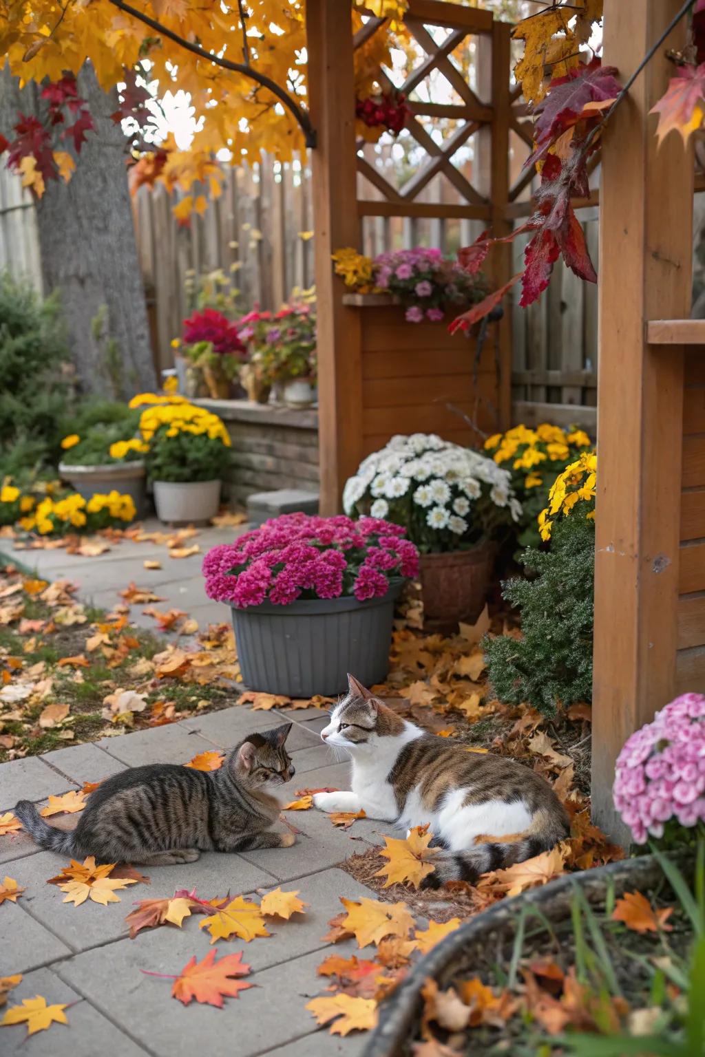 Seasonal ornaments bring variety and festivity to your cat’s outdoor space.