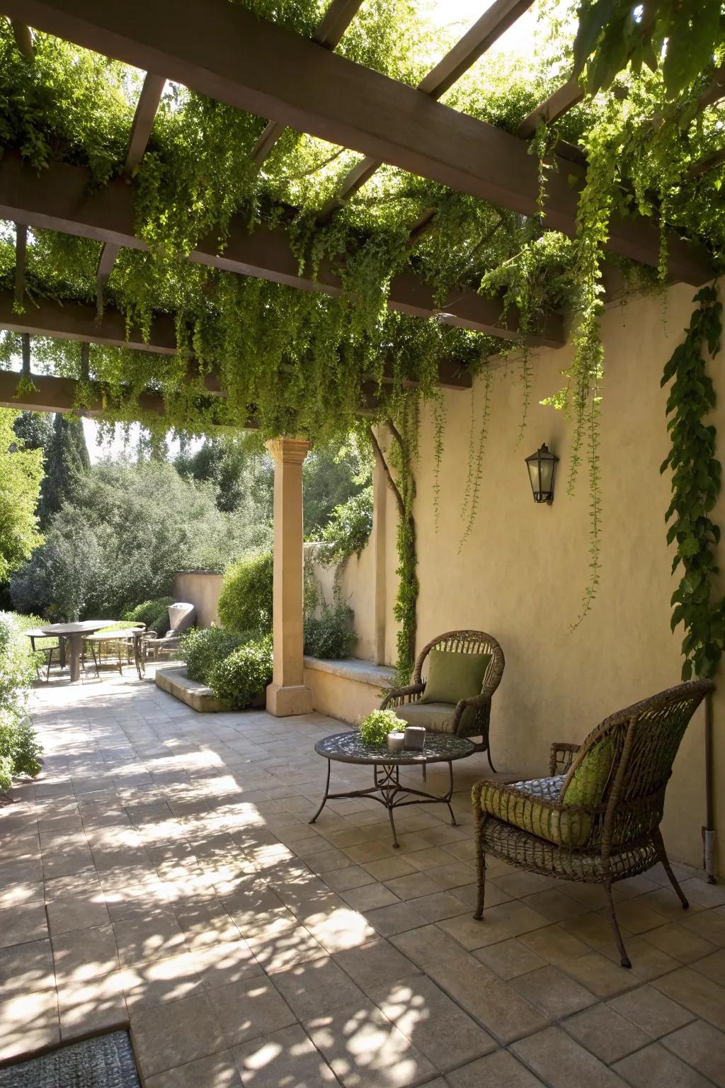 Hanging plants inject aesthetic appeal and pockets of shading into outdoor spaces.