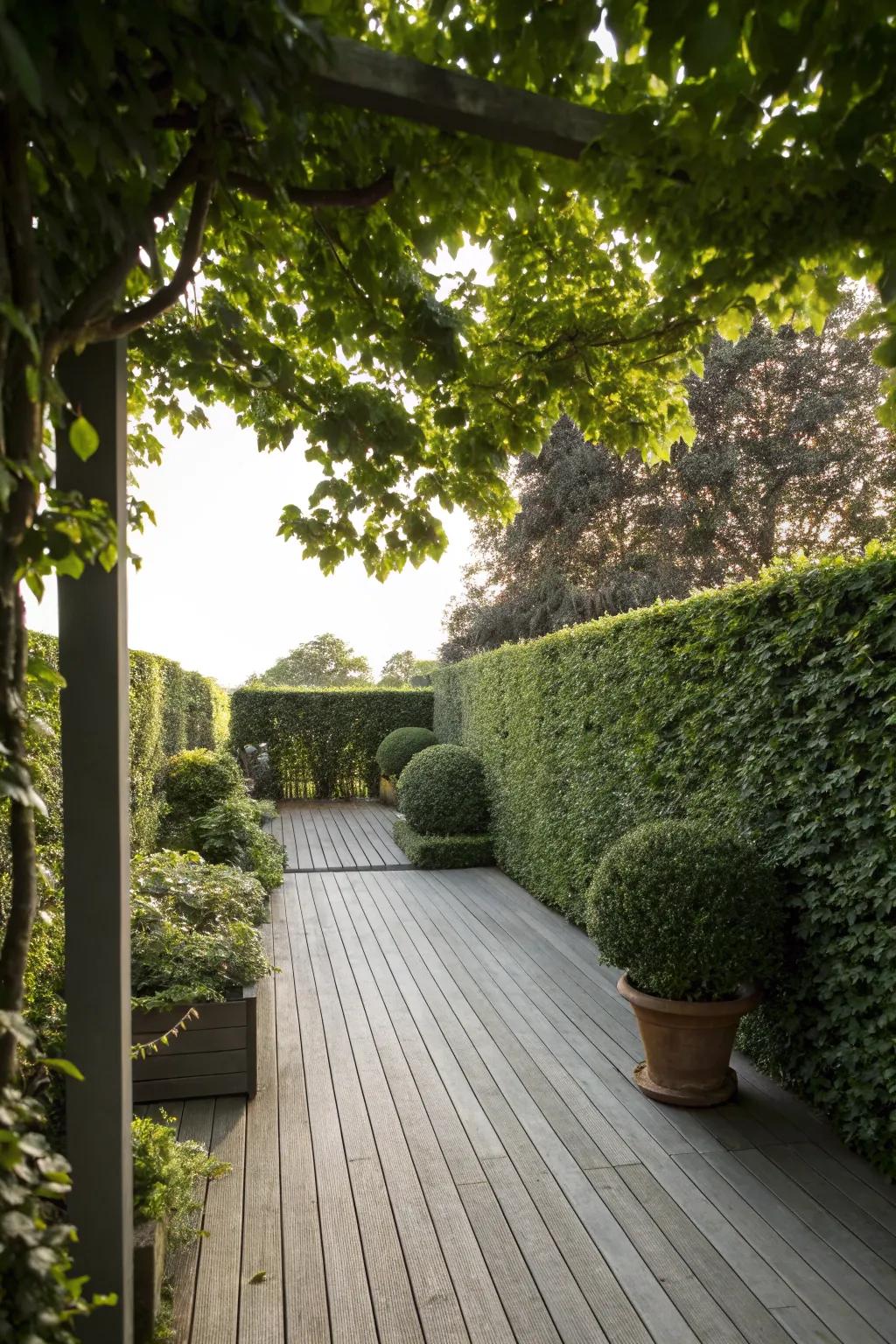 Hedge dividers propose natural and eco-amiable shade.