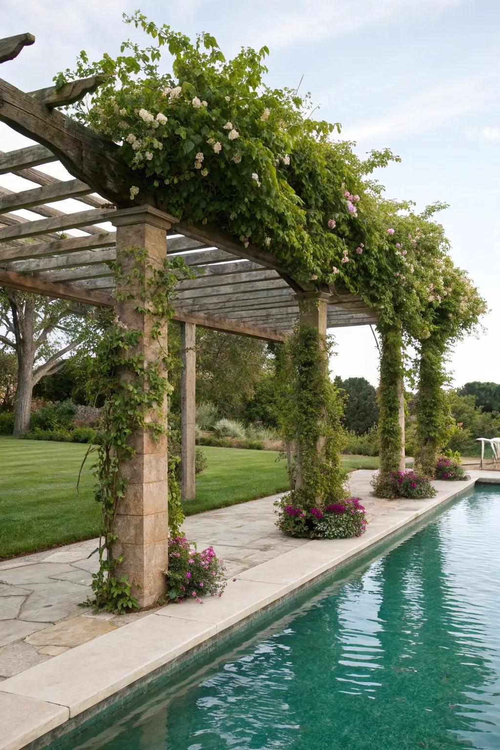 Garden trellis pergola establishes a natural, integrated visual.