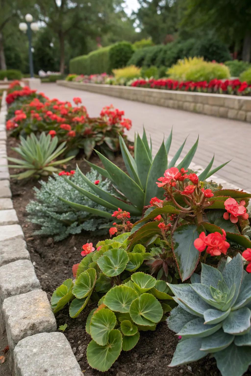 Blossomhearts and dry plants make a garden that’s different and pretty.