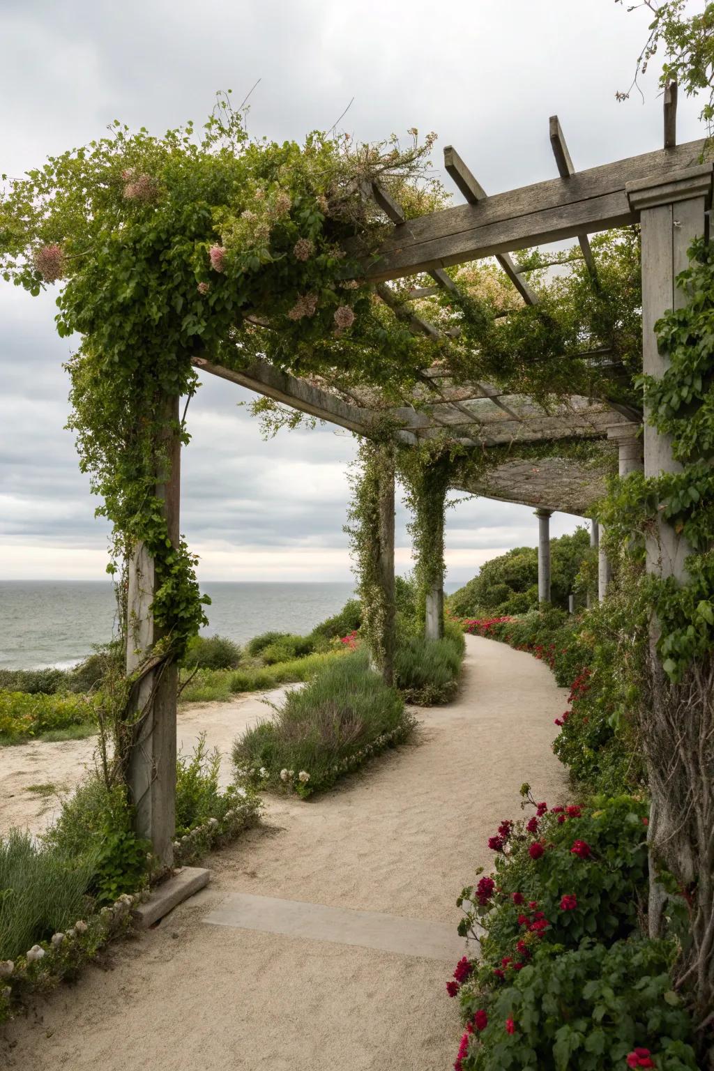 A pergola gives shade and beauty in shoreline gardens.