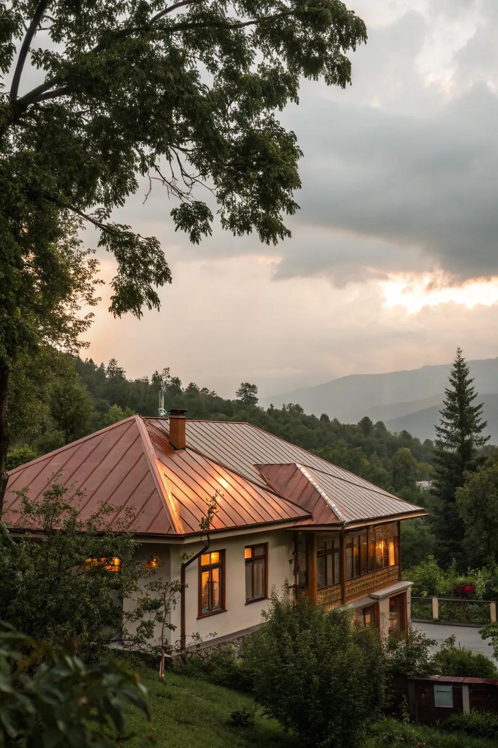 Copper roofs offer a unique and evolving aesthetic.
