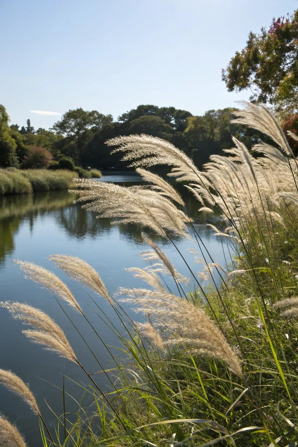 Stylistic grasses appending texture and dynamism to a water garden setting.