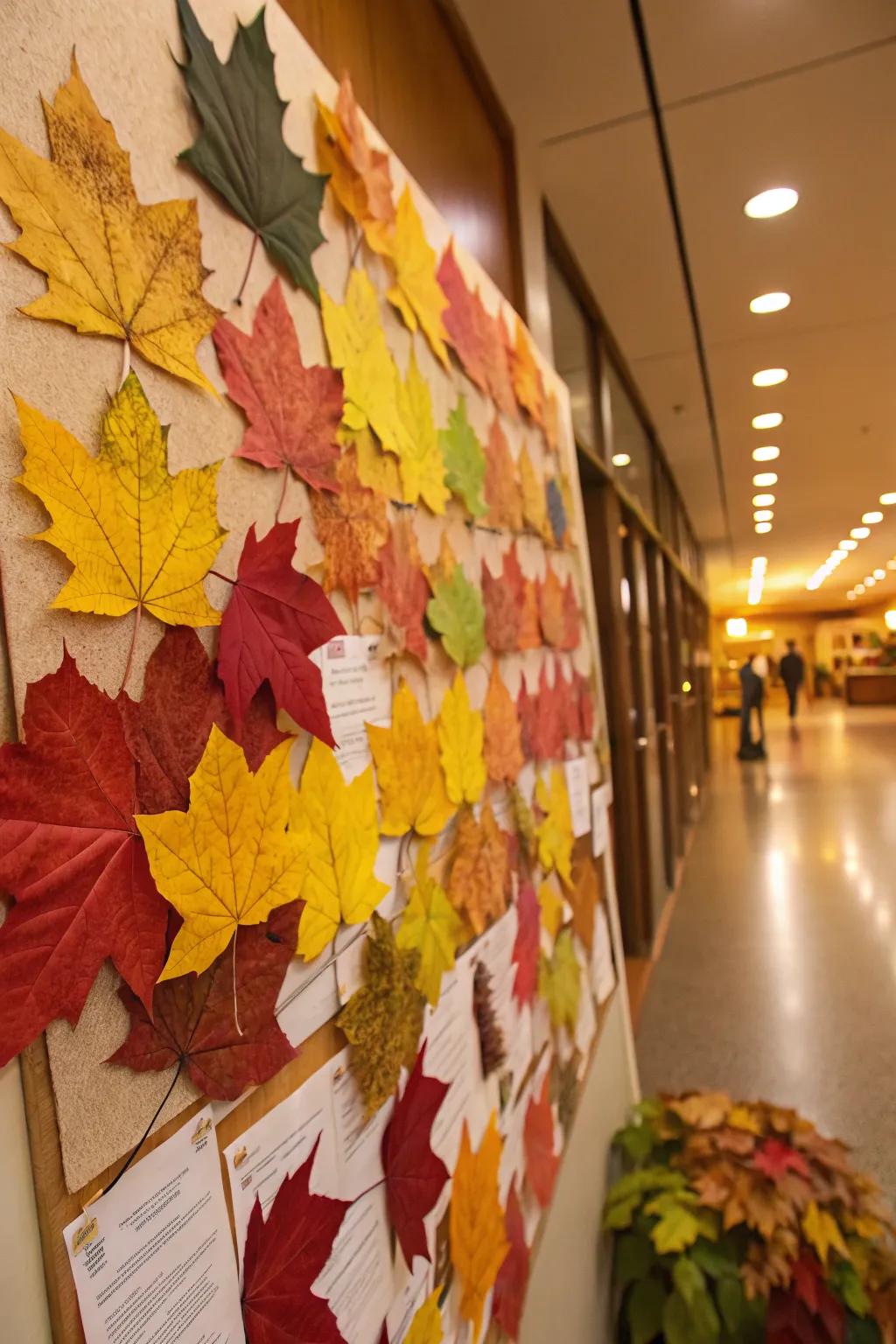 A nature-inspired fall display board exhibiting a spectrum of seasonal colors.