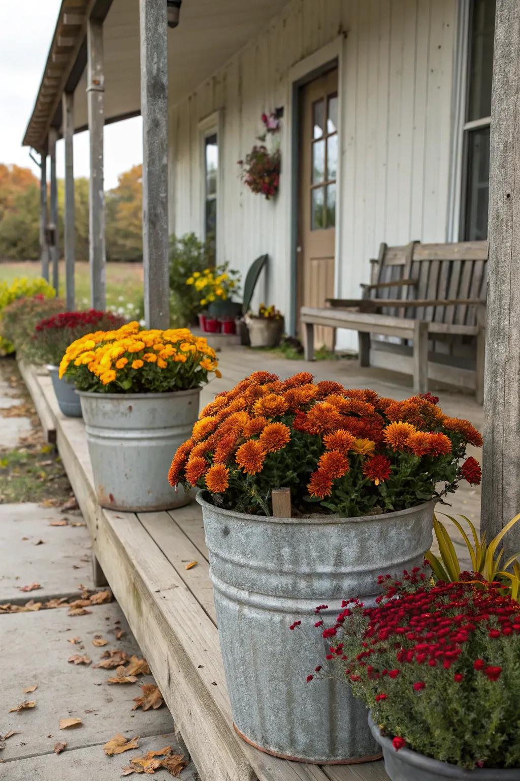 Galvanized planting vessels proffer a countryside element and accentuate autumn's energetic hues.