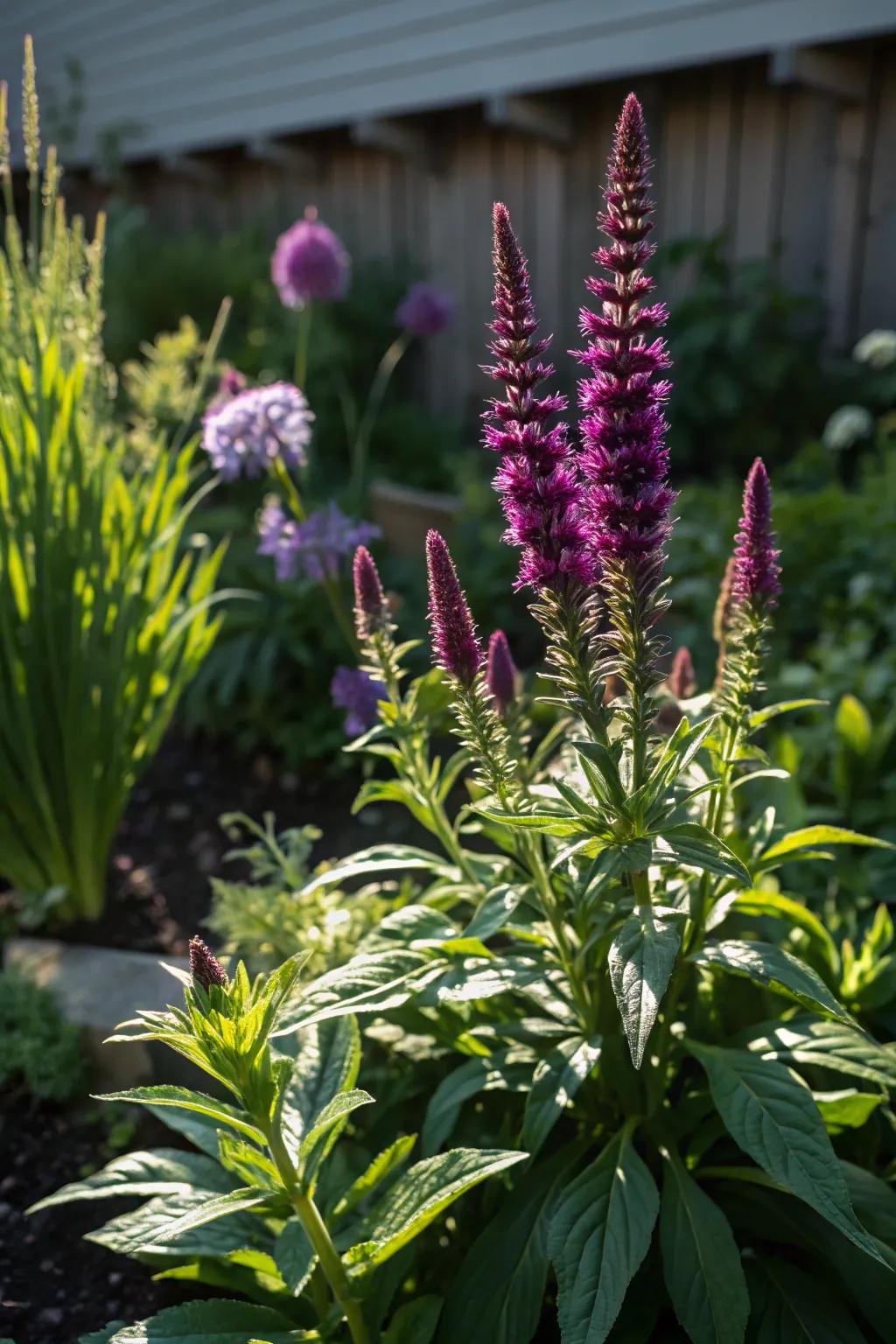 Transform your backyard with enduring blooms: vibrant beauty that recurs annually.