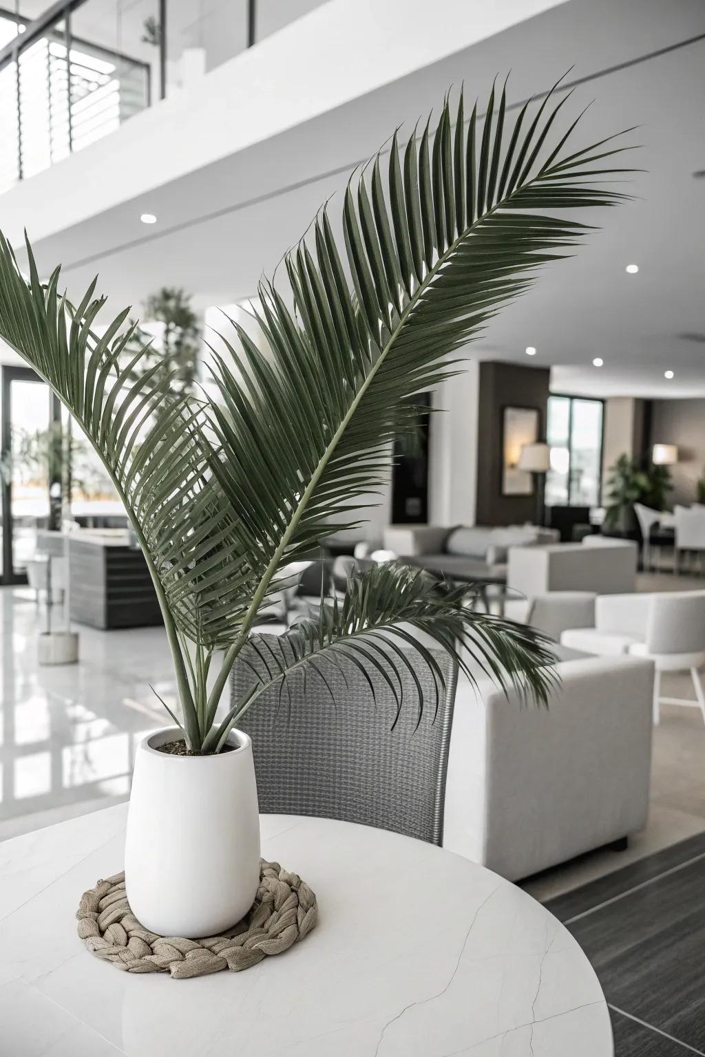 A monochrome palette with tropical fronds offers a refined appearance.