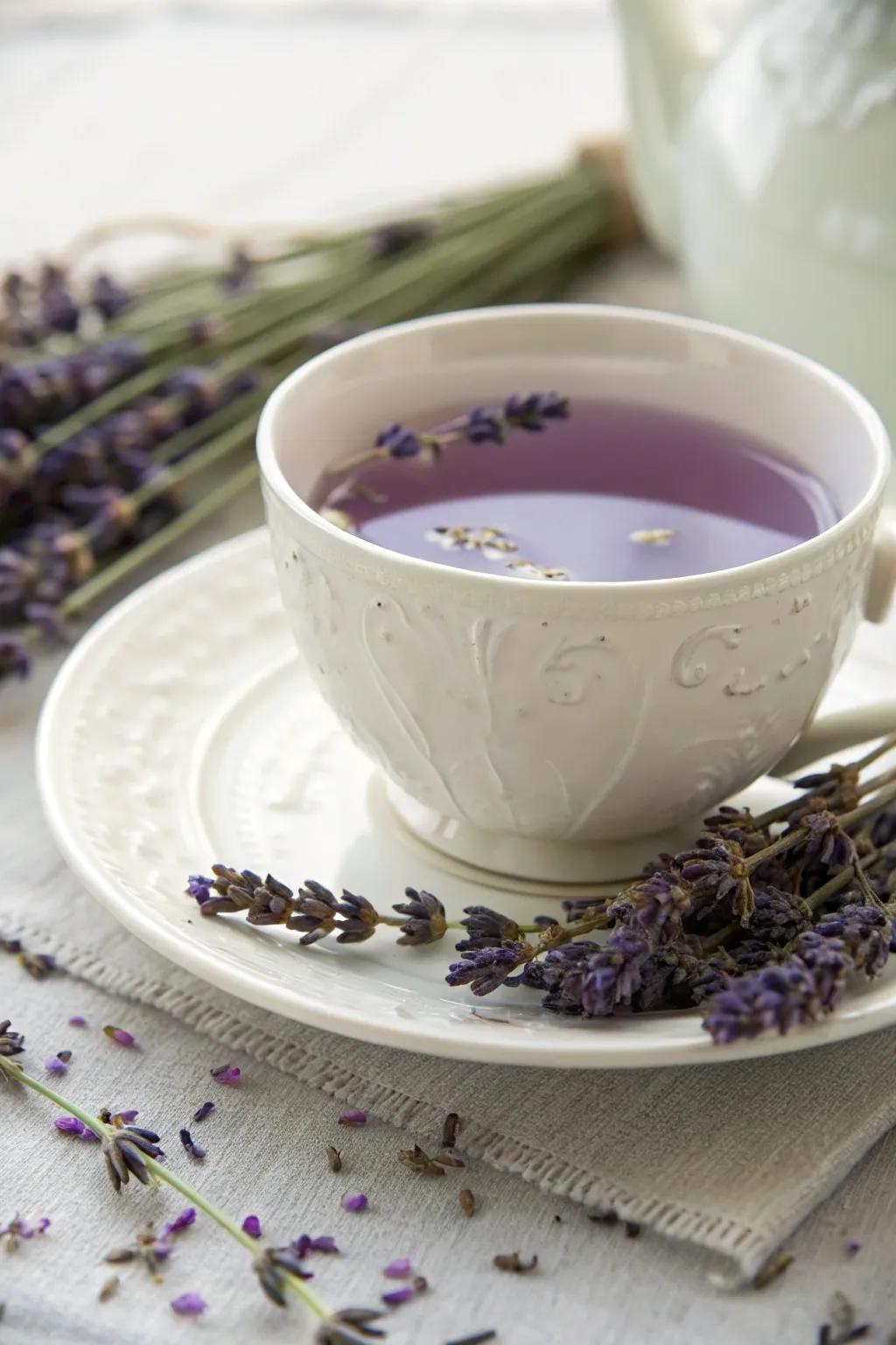 Indulge in a calming cup of lavender brew.