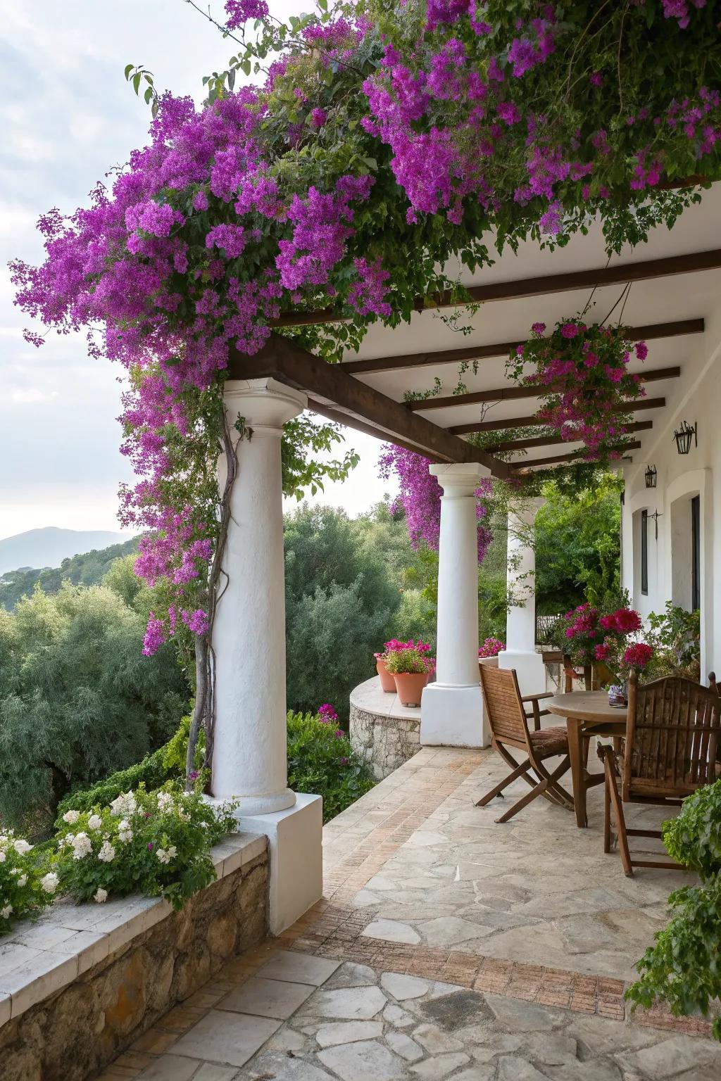 Bougainvillea fashions a spirited, blooming awning over the veranda.