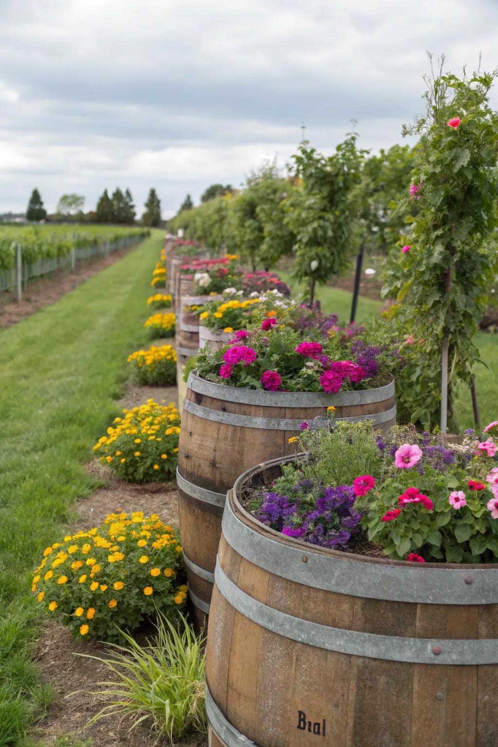 Eco-friendly and planters that are made of wine barrels.