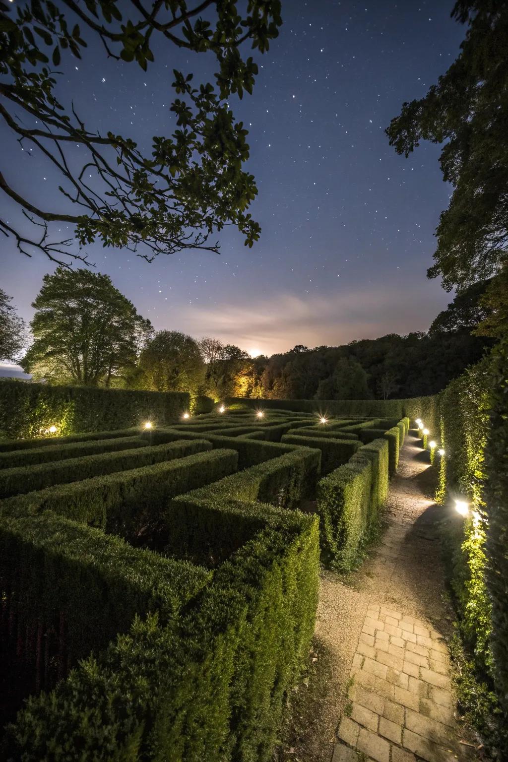 A mystical illumination labyrinth establishing a magical nighttime glow.