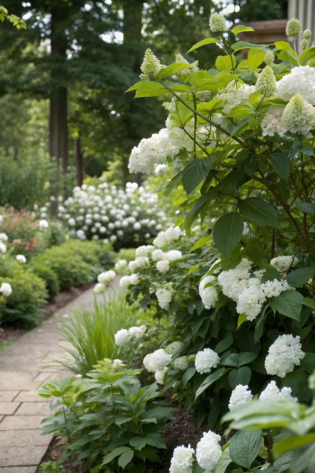 Pale flowers paired with rich greenery fashion a harmonious garden atmosphere.