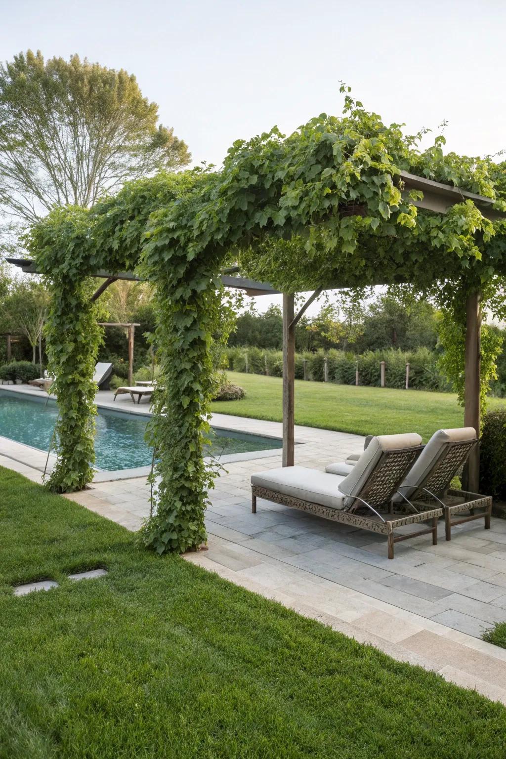 Design a soothing hideaway with a vine-draped pergola.